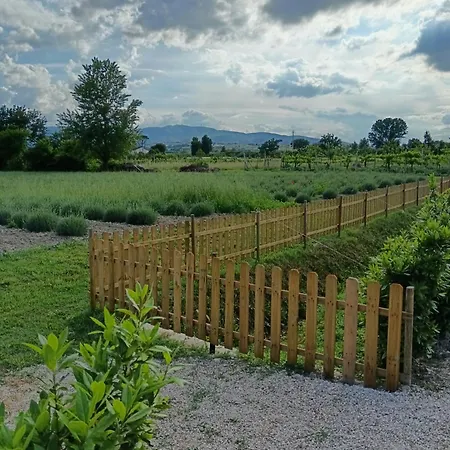 L'antico Fienile Κατάλυμα σε φάρμα Montefalco