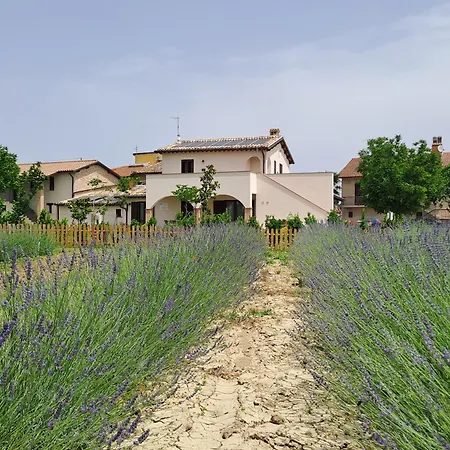 L'antico Fienile Montefalco