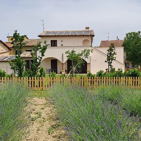 L'antico Fienile Farm stay Montefalco