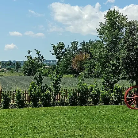 Alojamento de Turismo Rural L'antico Fienile *
