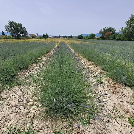 L'antico Fienile Bauernhof *