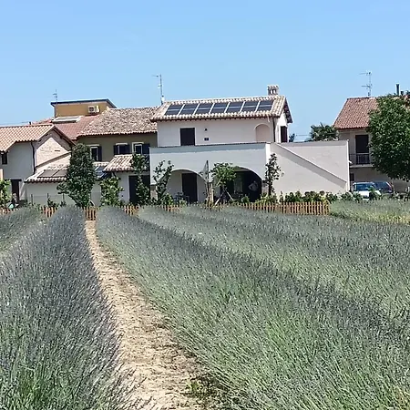 L'antico Fienile Farm stay *