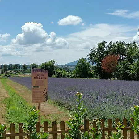 L'antico Fienile *