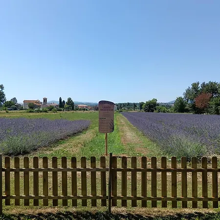 Alojamento de Turismo Rural L'antico Fienile