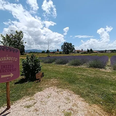 Alojamento de Turismo Rural L'antico Fienile Montefalco