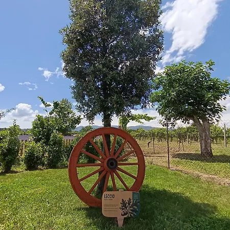 L'antico Fienile Farm stay