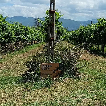 L'antico Fienile *