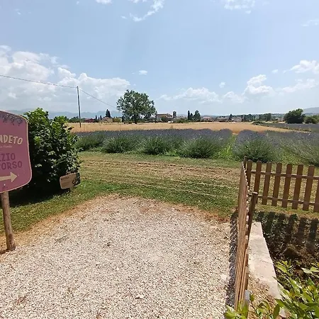 Alojamento de Turismo Rural L'antico Fienile