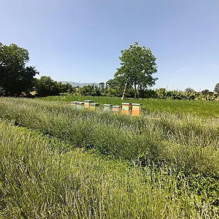 L'antico Fienile Κατάλυμα σε φάρμα *