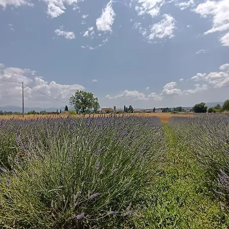 Alojamento de Turismo Rural L'antico Fienile *