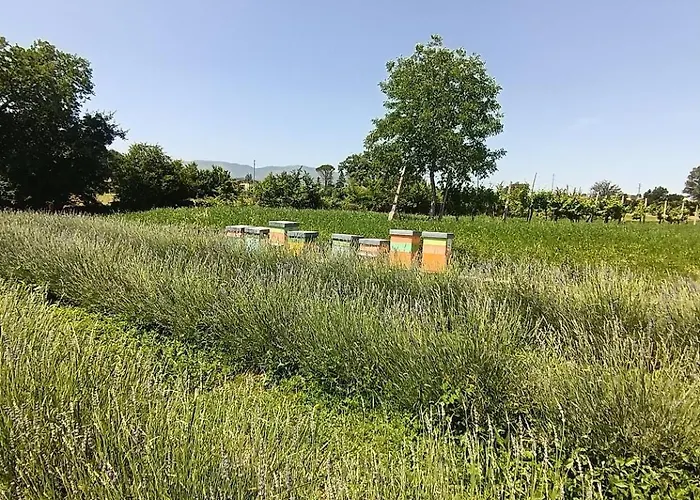 L'antico Fienile ファームステイ *