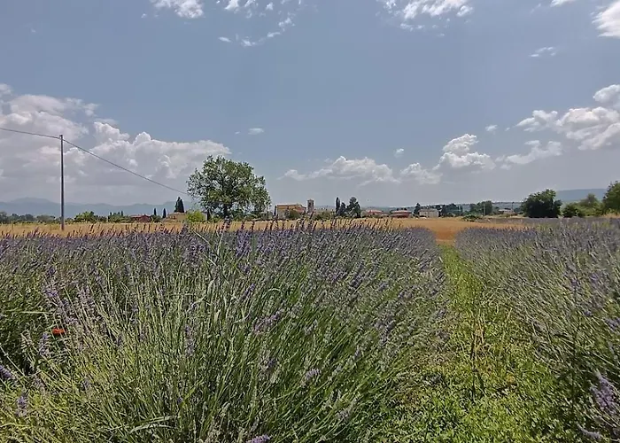 ファームステイ L'antico Fienile *