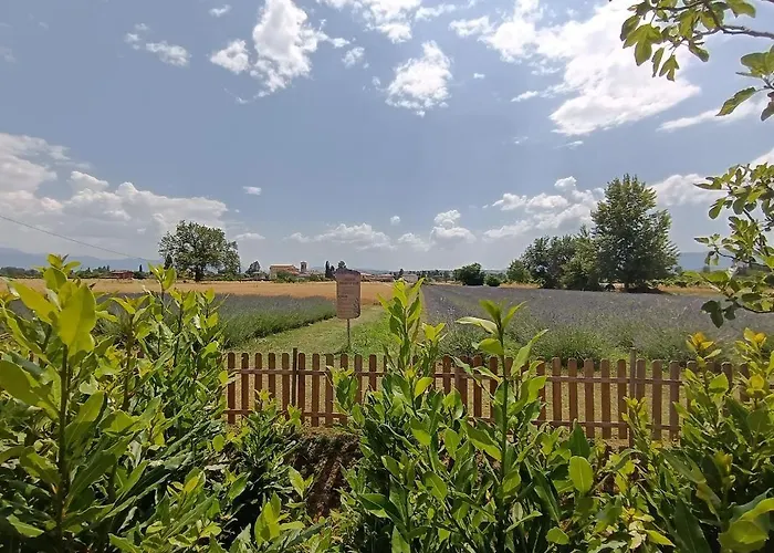 L'antico Fienile * 蒙特法尔科